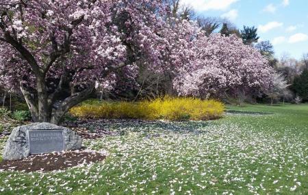 Glendinning Rock Garden Image