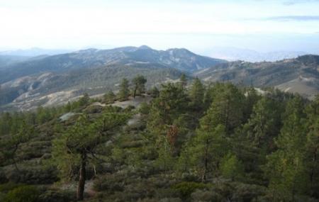 San Benito Mountain Research Natural Area Image