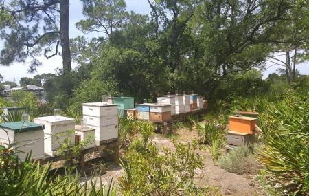 Kritter, Inc. Wildlife Sanctuary Image