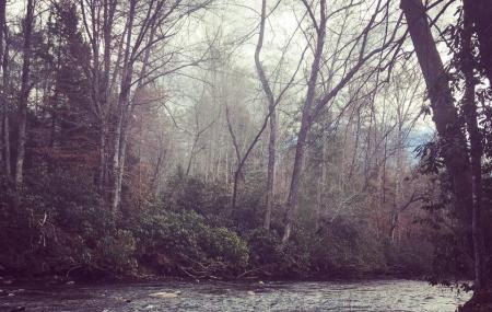 Davidson River Campground Image