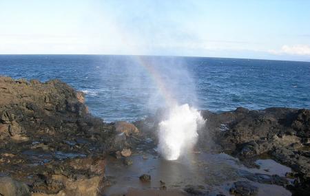 Nakalele Blowhole Image