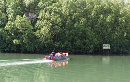 Cherating River Image
