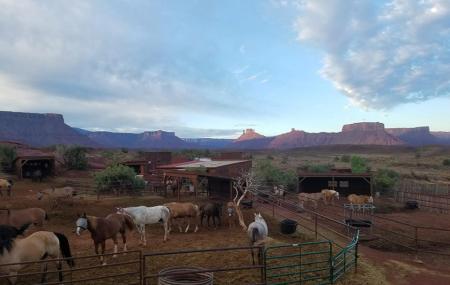 Hauer Ranch (moab Horses) Image