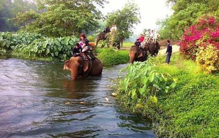 Taweechai Elephant Camp Image