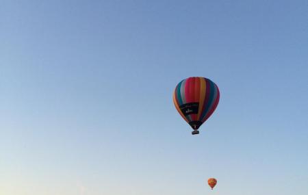 Go Wild Ballooning Image