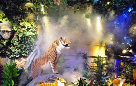 Rainforest Cafe Shop-animal Kingdom Image