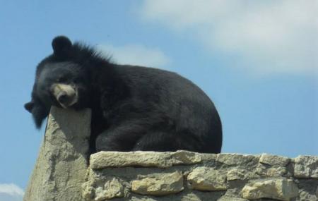 Zoo Setif Image