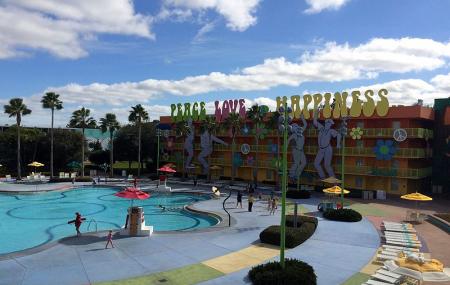 Hippy Dippy Pool Image
