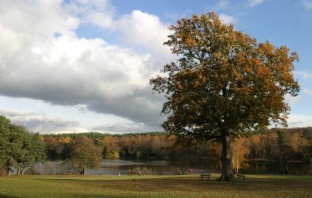 Tilgate Park Image