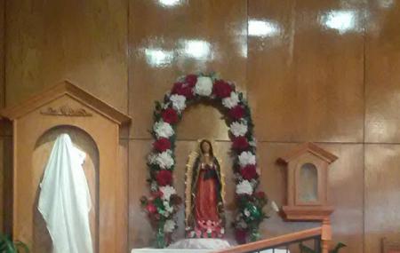 St Francis Of Assisi Catholic Image