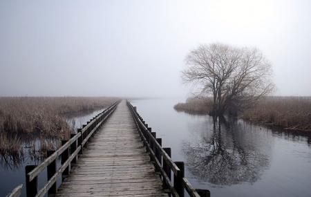Point Pelee National Park Image
