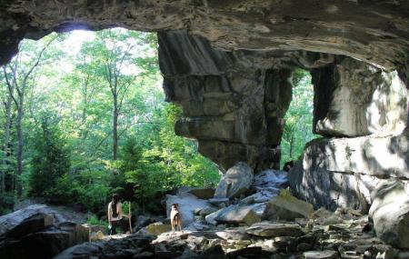 Greig's Caves Image