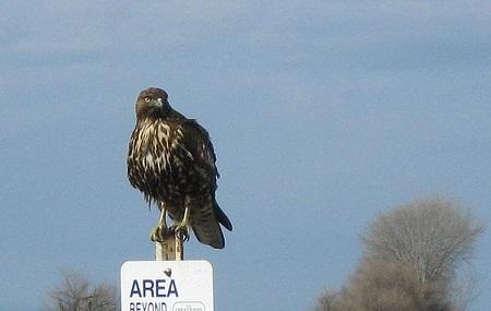 Kern National Wildlife Refuge Image
