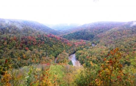 Loyalsock State Forest Image