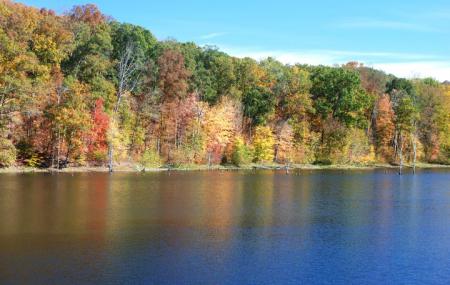 Delaney Park Image