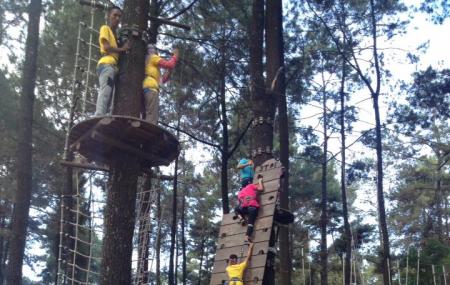 Tretes Treetop Adventure Park Image