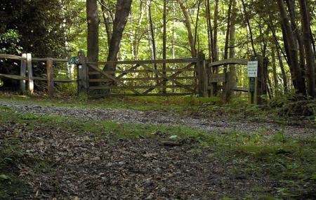 Farningham Wood Nature Reserve Image