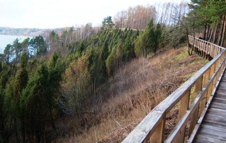 Kadagiu Slenis Image