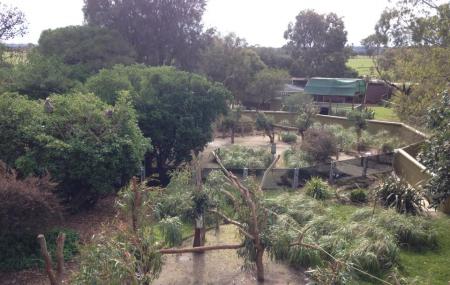 Jirrahlinga Koala & Wildlife Sanctuary Image