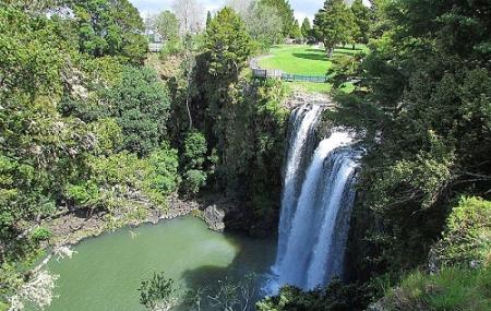 Whangarei Falls Image