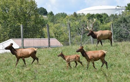 Salato Wildlife Education Center Image