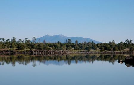 Ashurst Lake Image