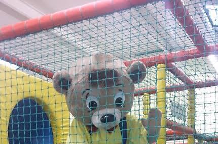 Darcy Bear Image