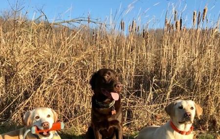 Carver Park Reserve Off-leash Dog Park Image