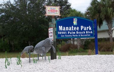 Lee County Manatee Park Image
