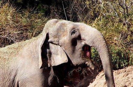 El Paso Zoo Image