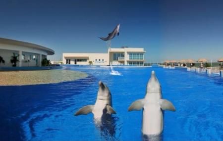 Dolphin Conservation Center At Marineland Image