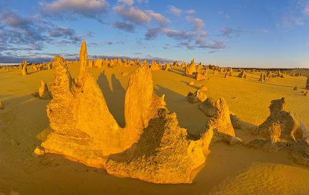 The Pinnacles Desert Image