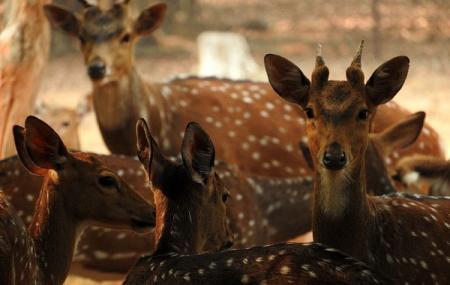 Ballavpur Wildlife Sanctuary Image