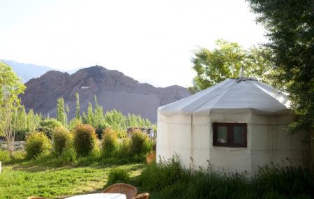 Ladakh Sarai Image