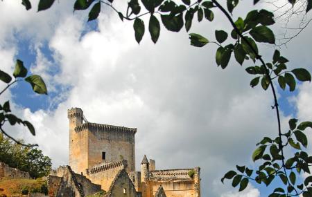 Chateau De Commarque (les Eyzies-de-tayac-sireuil) Image