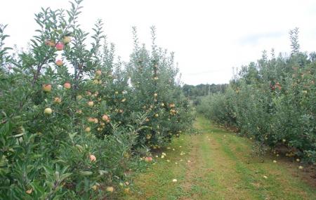 Weed Orchards Image