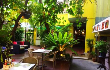 Zanzi Bar Image