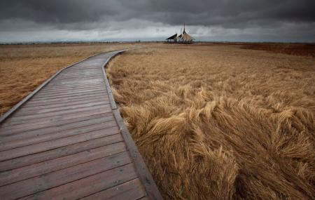 Great Salt Lake Shorelands Preserve Image