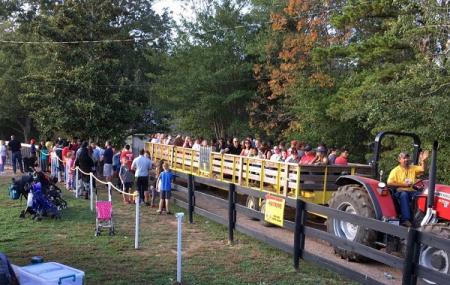 Buford Corn Maze, Buford | Ticket Price | Timings | Address: TripHobo