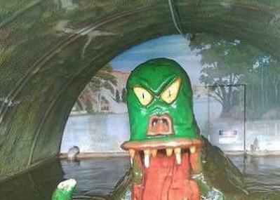 Bunyip Image