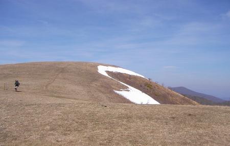 Max Patch Mountain Image