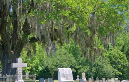 Historic Natchez Cemetery Image