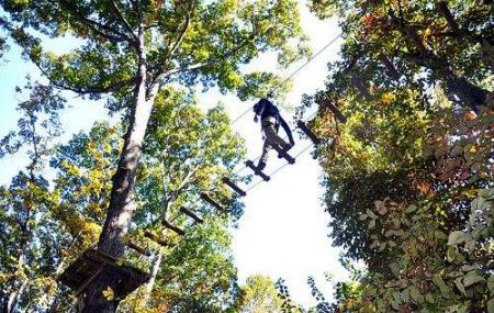 Loco Ropes! Image