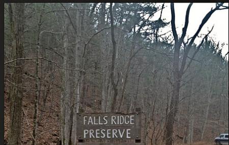 Falls Ridge Preserve Image