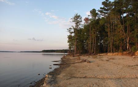 Poplar Point Campground Jordan Lake Sra Image