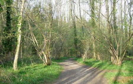 Itchen Valley Country Park Image