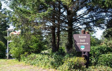 Neskowin Beach State Recreation Site Image