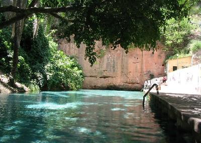 Yankari National Park Image