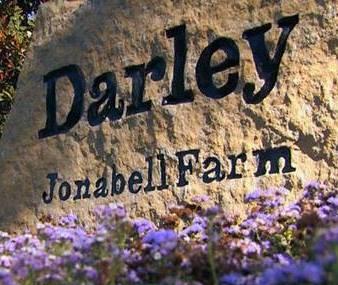 Darley At Jonabell Farm Image