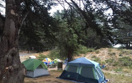 Bodega Dunes Campground Image